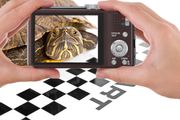 Les Slow-motion i lommeformat